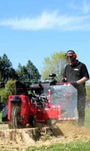 Stump Grinder - Hydraulic