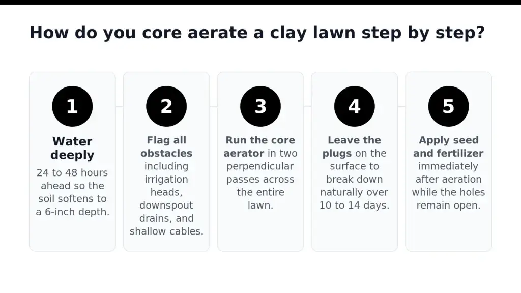 How to core aerate a clay lawn step by step in Denver, Colorado